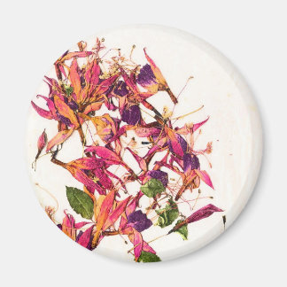 AIMANT FUCHSIAS I