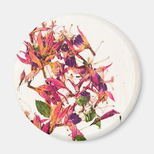 AIMANT FUCHSIAS I (Devant)