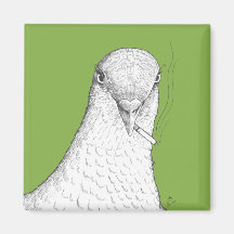 Fumer le magnétisme de pigeon | Bizarre, Quirky et