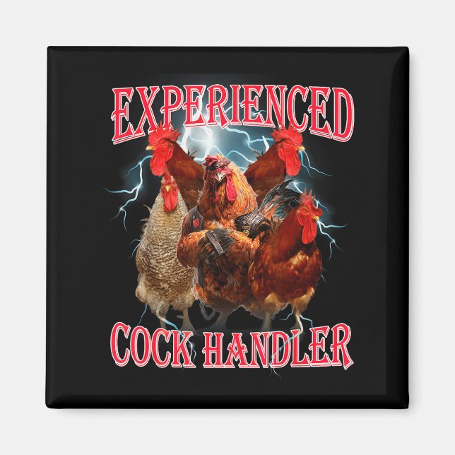 Aimant Funny Adult Humor Experienced Handler Inappropriat (Devant)