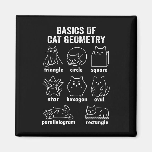Aimant Funny Bysics Of Cat Geometry Byck To School Math T (Devant)