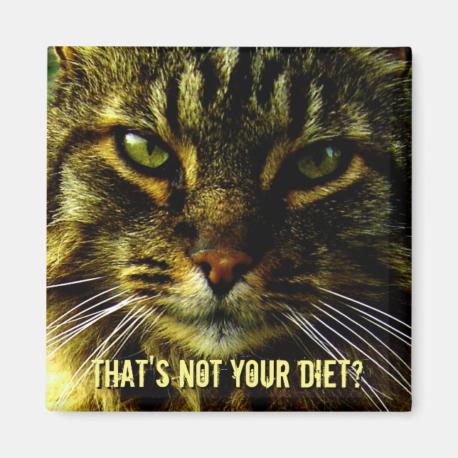 Aimant Funny Cat Diet Guard (Devant)