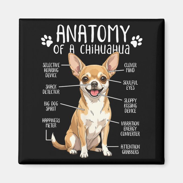 Aimant Funny Chihuahua Anatomy Of A Chihuahua Dog Owner P (Devant)