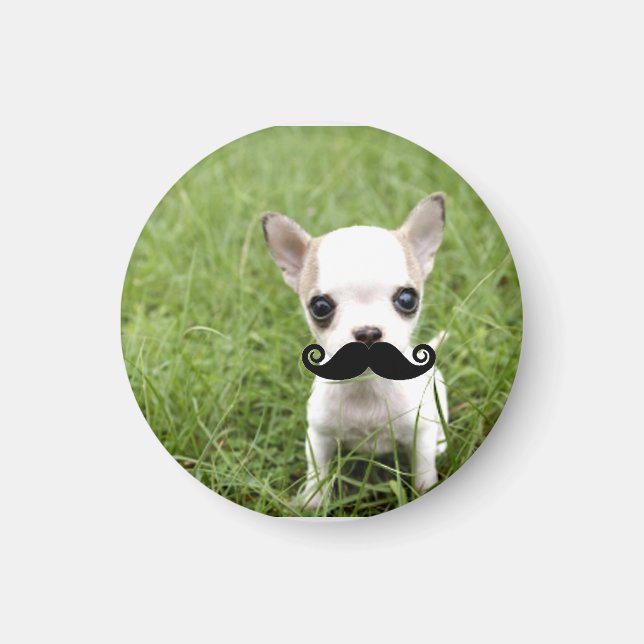 Aimant Funny Cute Chihuahua avec Moustache (Devant)