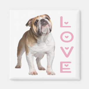 Aimant Funny English Bulldog Maman Aimer Chien Chien Chie