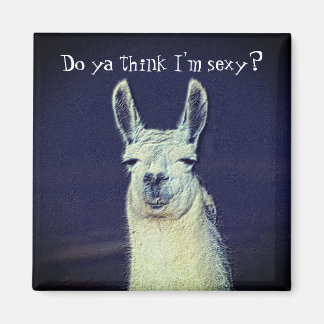 Aimant Funny Llama Face Animal