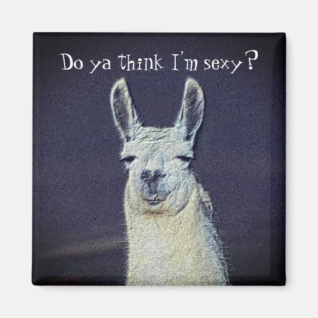 Aimant Funny Llama Face Animal  (Devant)