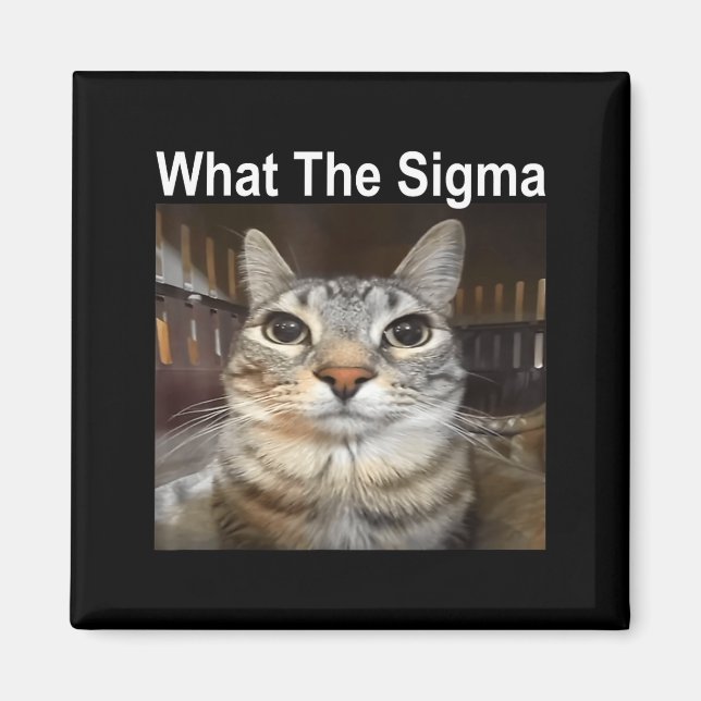 Aimant Funny Meme Cat What The Sigma Cute Cat Meme Quote  (Devant)