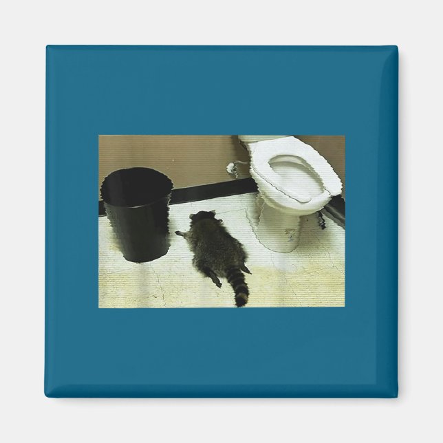 Aimant Funny Trashed Panda Drunk Racoon  (Devant)