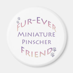 Aimant Furever de Pinscher Miniature