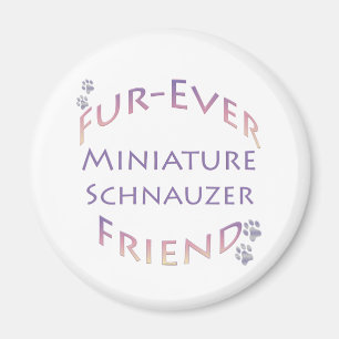 Aimant Furever de Schnauzer miniature