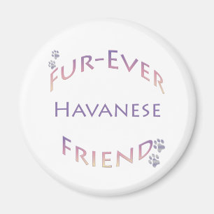 Aimant Furever Havanais