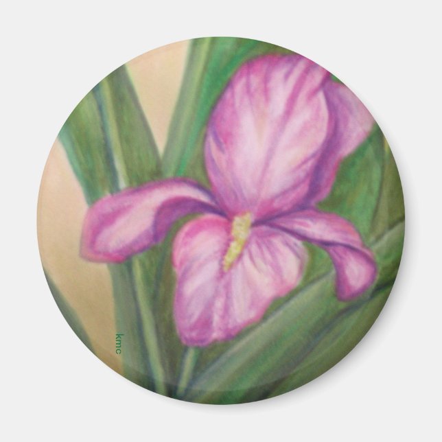 Aimant Fuschia iris (Devant)