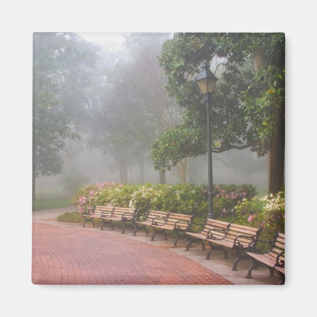 Aimant GA Savannah, Azaleas, le long du trottoir en briqu (Devant)