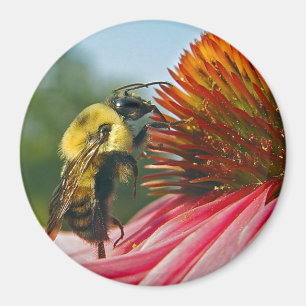 Aimant Gaffez l'abeille avec le coeur de ciel