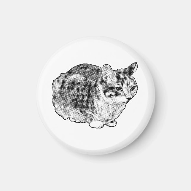 Aimant Galerie de cuisine : Tabby avec points de neige (Devant)