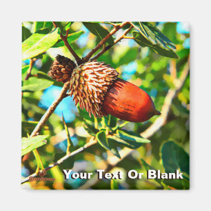 Aimant Galilee Acorn