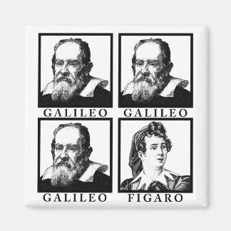 Aimant Galileo Figaro BW