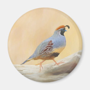 Aimant Gambrel's Quail Painting Original Bird Art