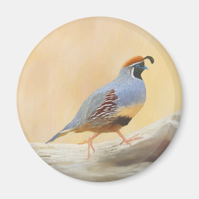 Aimant Gambrel's Quail Painting Original Bird Art (Devant)