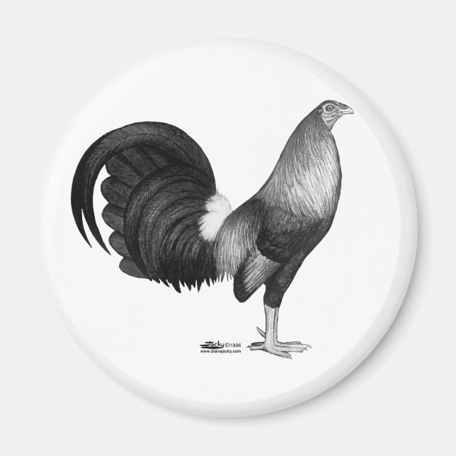 Aimant Gamecock Red Hatch (Devant)