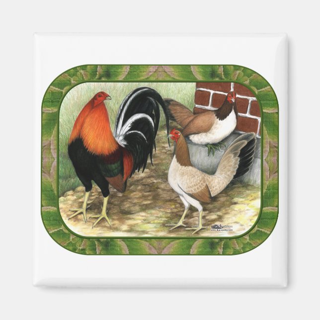 Aimant Gamefowl à la ferme (Devant)