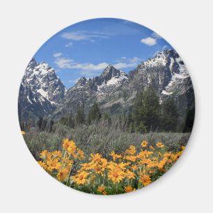 Aimant Gamme de Grand Teton couvert de neige avec fleurs