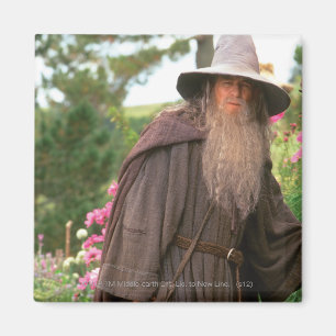 Aimant GANDALF™ avec le casquette