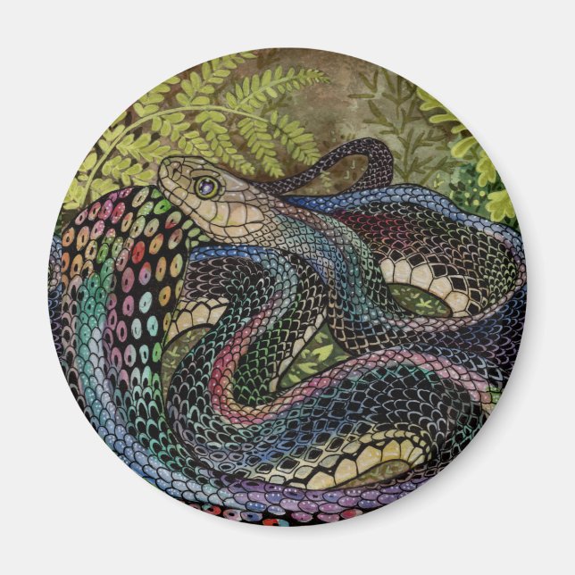 Aimant Gardener Snake Study Beyond the Skin (Devant)