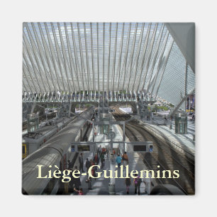 Aimant Gare ferroviaire de Liège-Guillemins