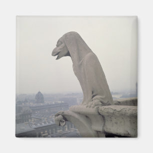 Aimant Gargouille sur la balustrade du grand