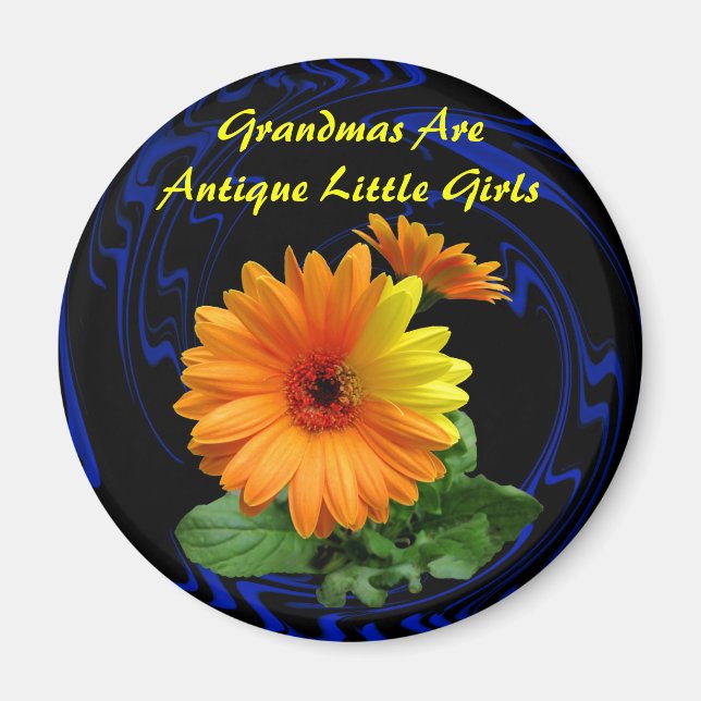 AIMANT GEBER DAISY -MAGNET (Devant)