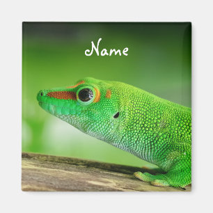 Aimant Gecko Géant de la Journée Verte - Phelsuma grandis