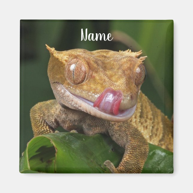 Aimant Gecko Lizard Personnalisé (Devant)