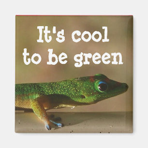 Aimant Gecko vert frais