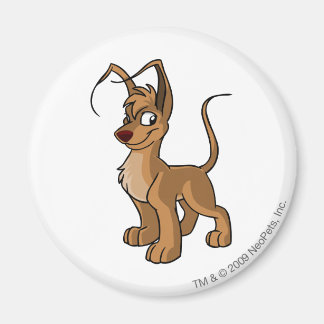 Aimant Gelert Brown