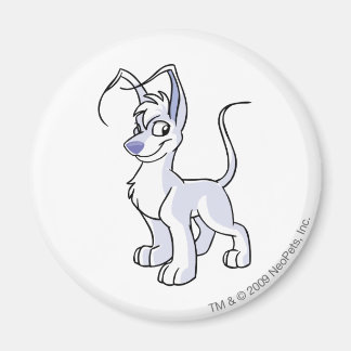 Aimant Gelert White