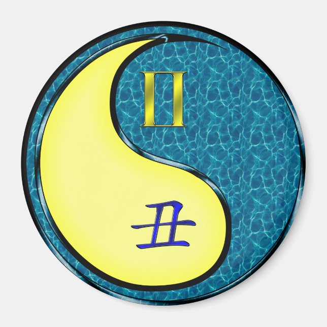 Aimant Gémeaux & Bœuf d'eau (Devant)