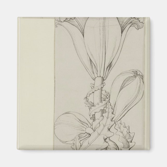Aimant Génie de la Lily, 1809 (Devant)