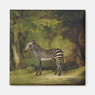 Aimant George Stubbs A Zebra, 1763 (huile sur toile)