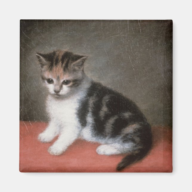 Aimant George Stubbs | Miss Ann White's Kitten, 1790 (Devant)