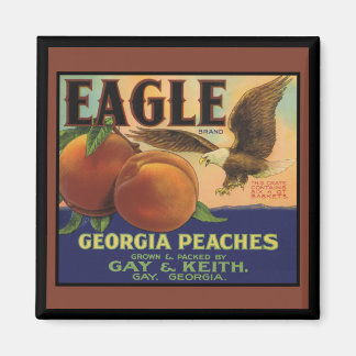 Aimant Georgia Eagle Peaches