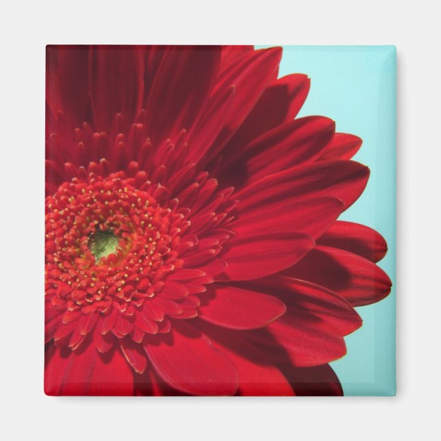 Aimant gerber (Devant)