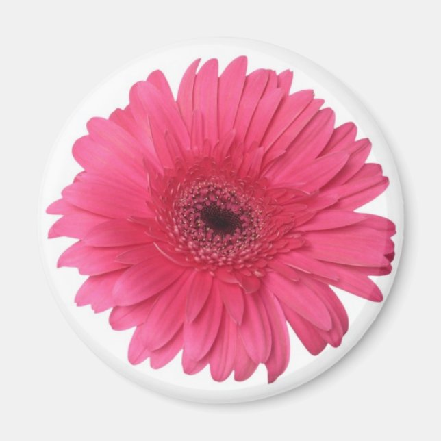 Aimant Gerber Daisy (Devant)