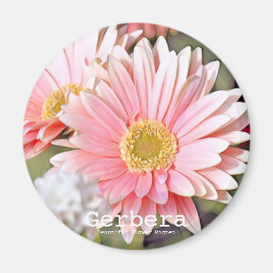 Aimant Gerbera