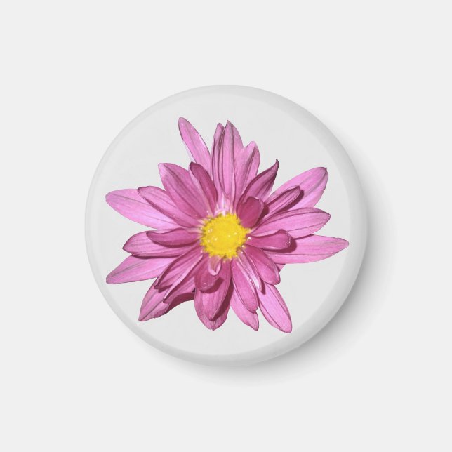 Aimant Gerbera violet clair (Devant)