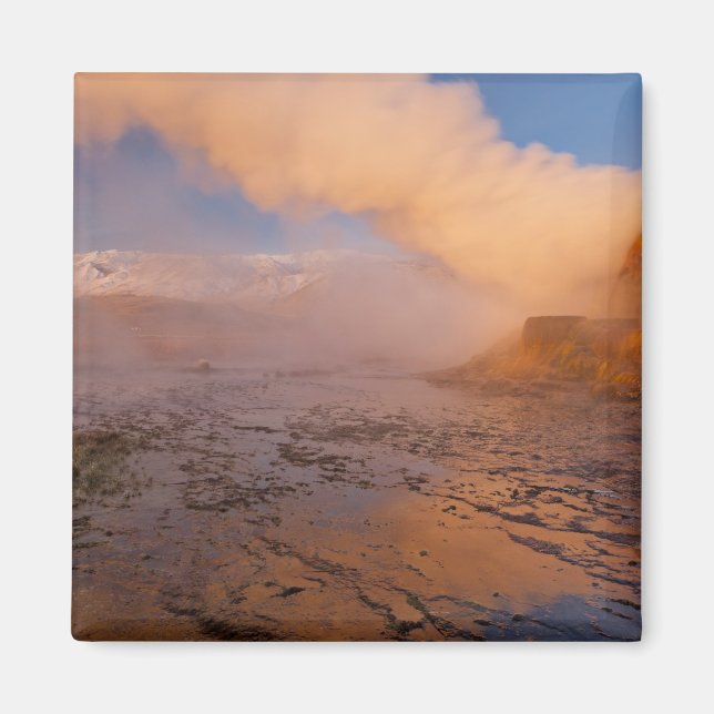 Aimant Geyser Fly dans le désert de Black Rock (Devant)