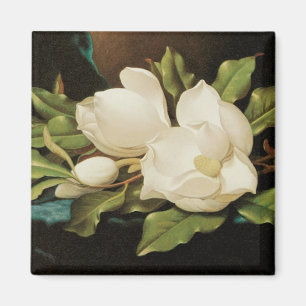Aimant Giant Magnolias on a Blue Velvet Cloth by MJ Heade