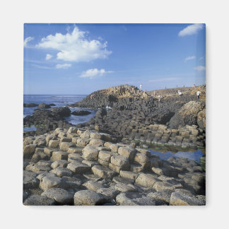 Aimant Giants Causeway, County Antrim, Nord