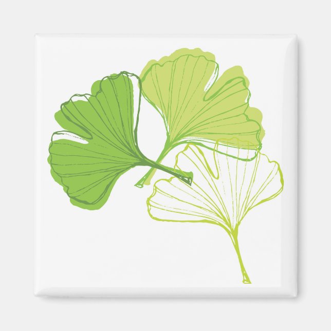Aimant Ginkgo Leaf (Devant)